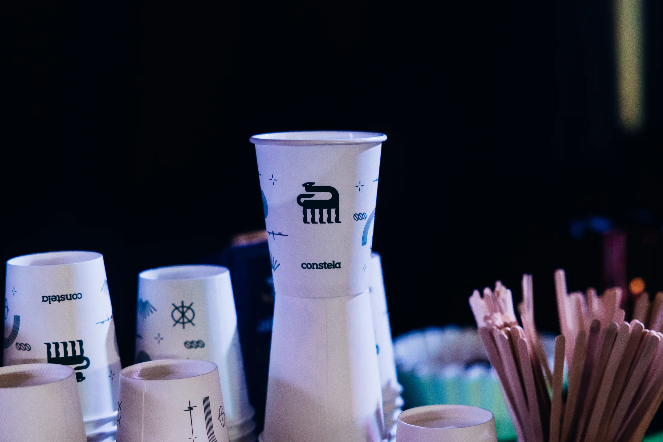 Constela at BOWLS 2024, photographed by Ludovic Delot