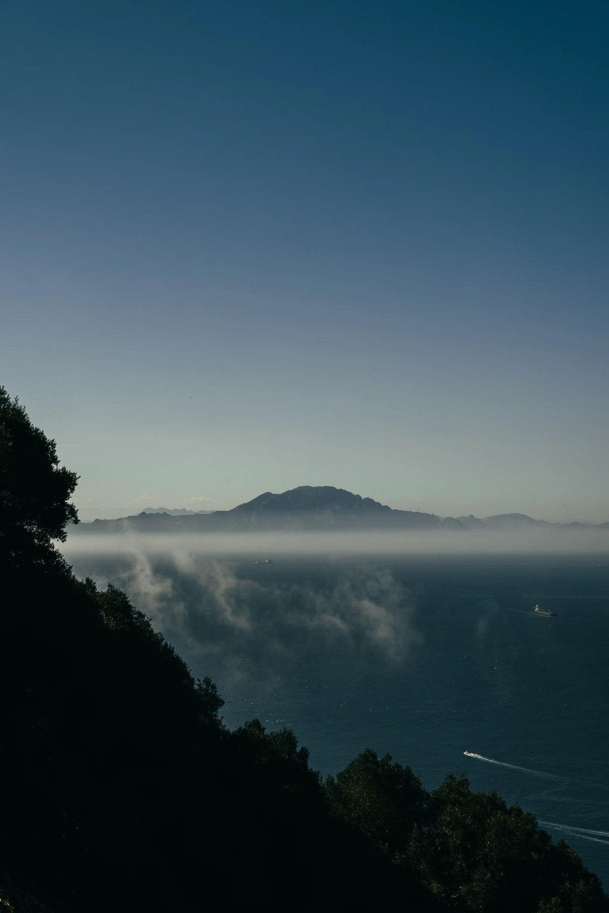 Jebel Musa in Morocco rises above a layer of sea mist across the Strait of Gibraltar, seen from a wooded slope of the Rock.